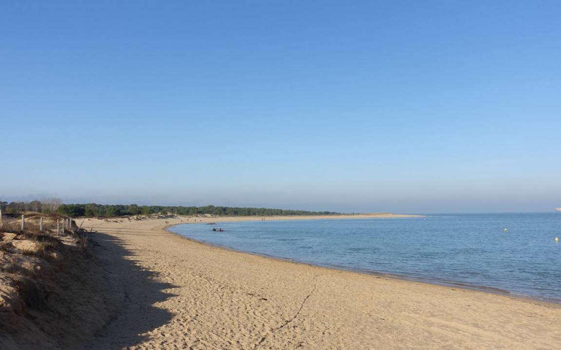 Photo of Others in Saint-Georges-d'Oleron