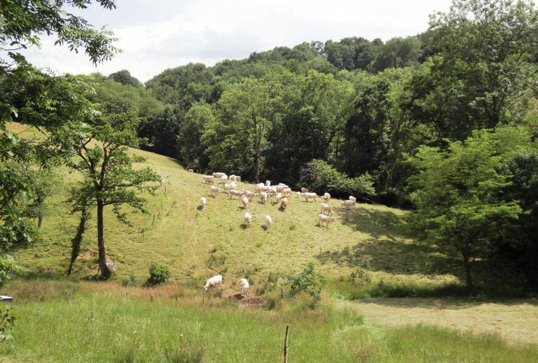 Photo of Others in Montaut