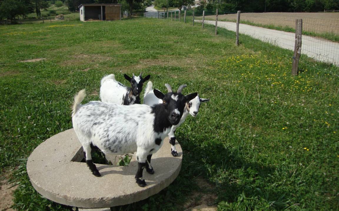 Photo of Others in Mialet
