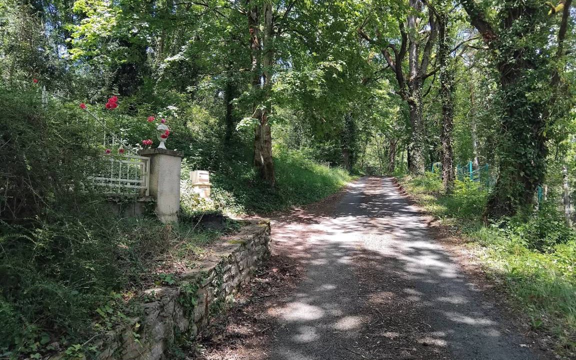 Photo of Others in Montignac