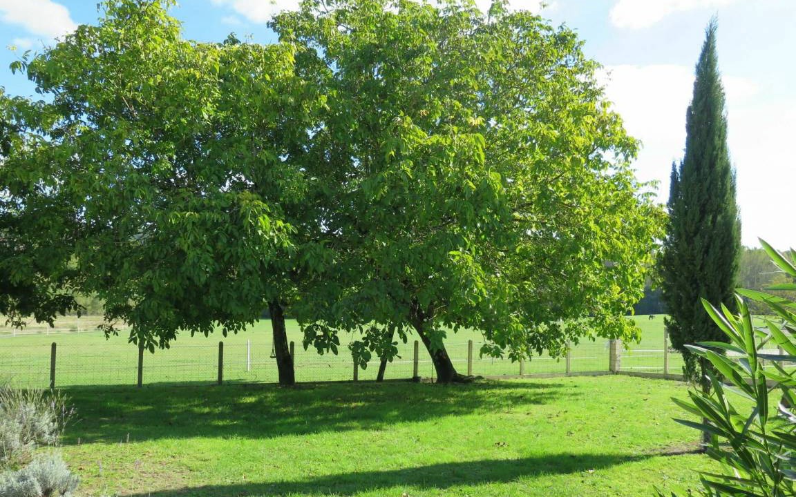Photo of Outdoor in Chanterac