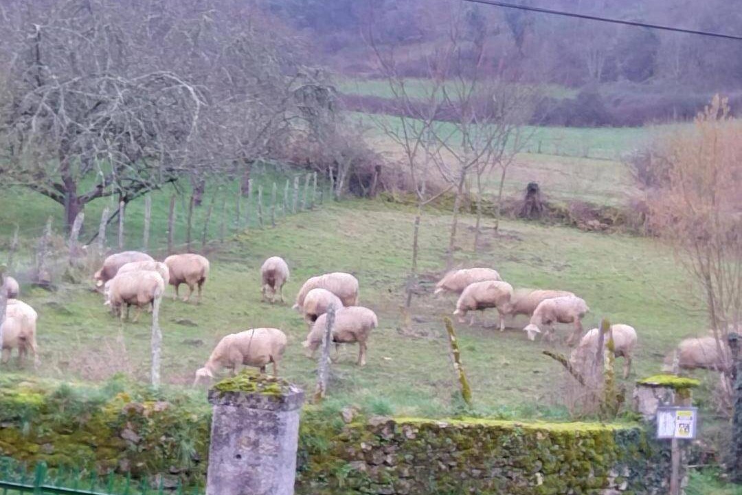 Photo of Others in Grezes