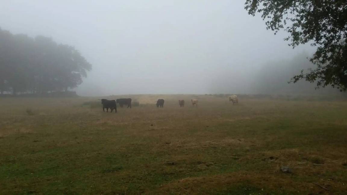 Photo of Others in Toulx-Sainte-Croix