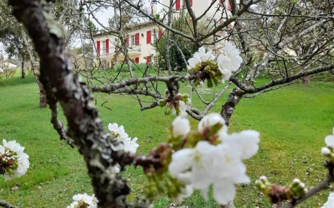 Photo of Others in Villamblard
