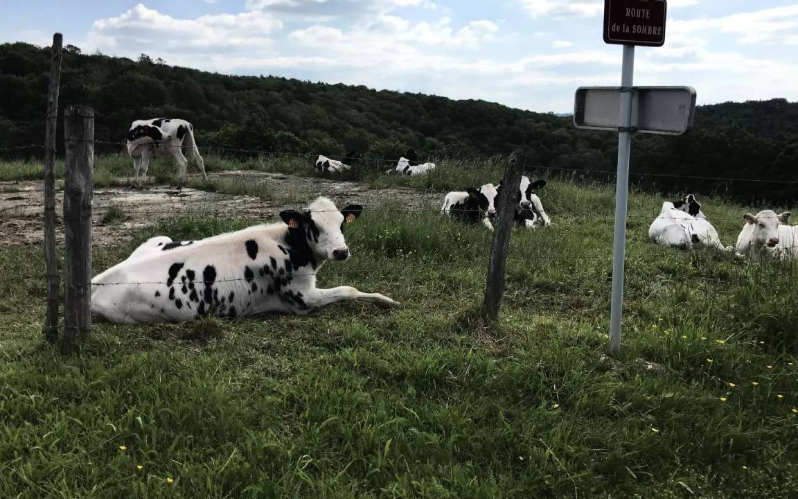 Photo of Others in Saint-Merd-de-Lapleau
