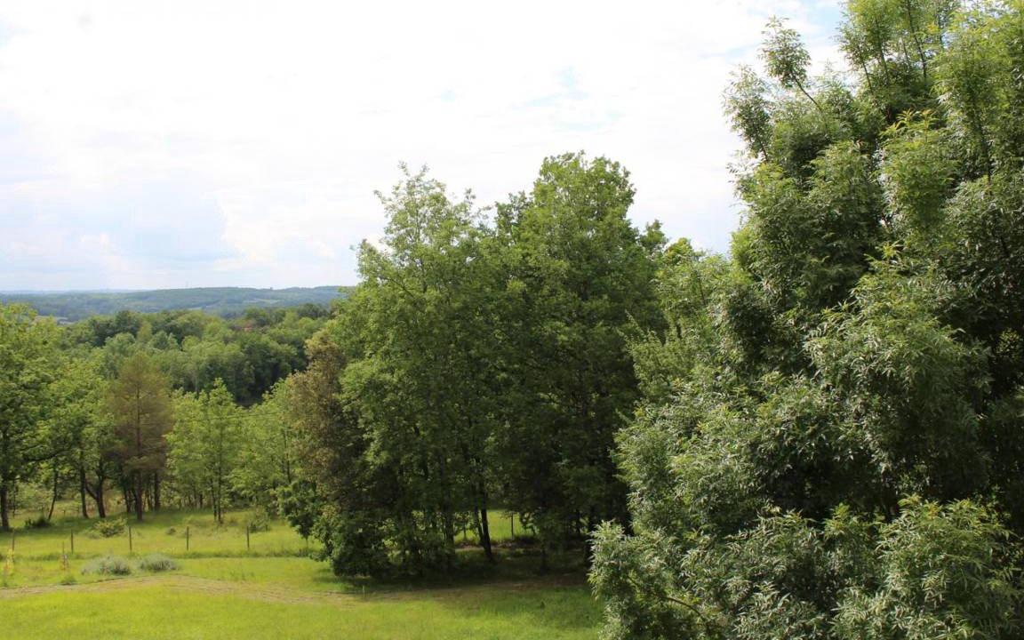 Photo of Others in Monsac