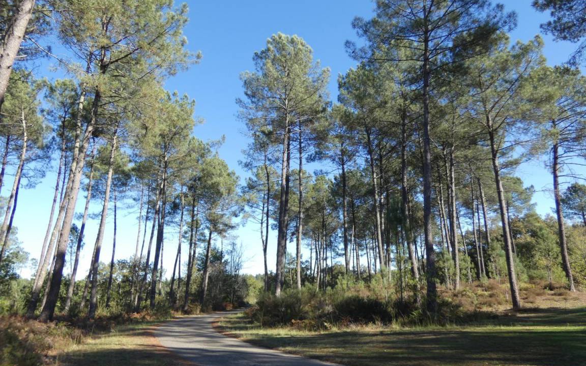 Photo of Outdoor in Brocas