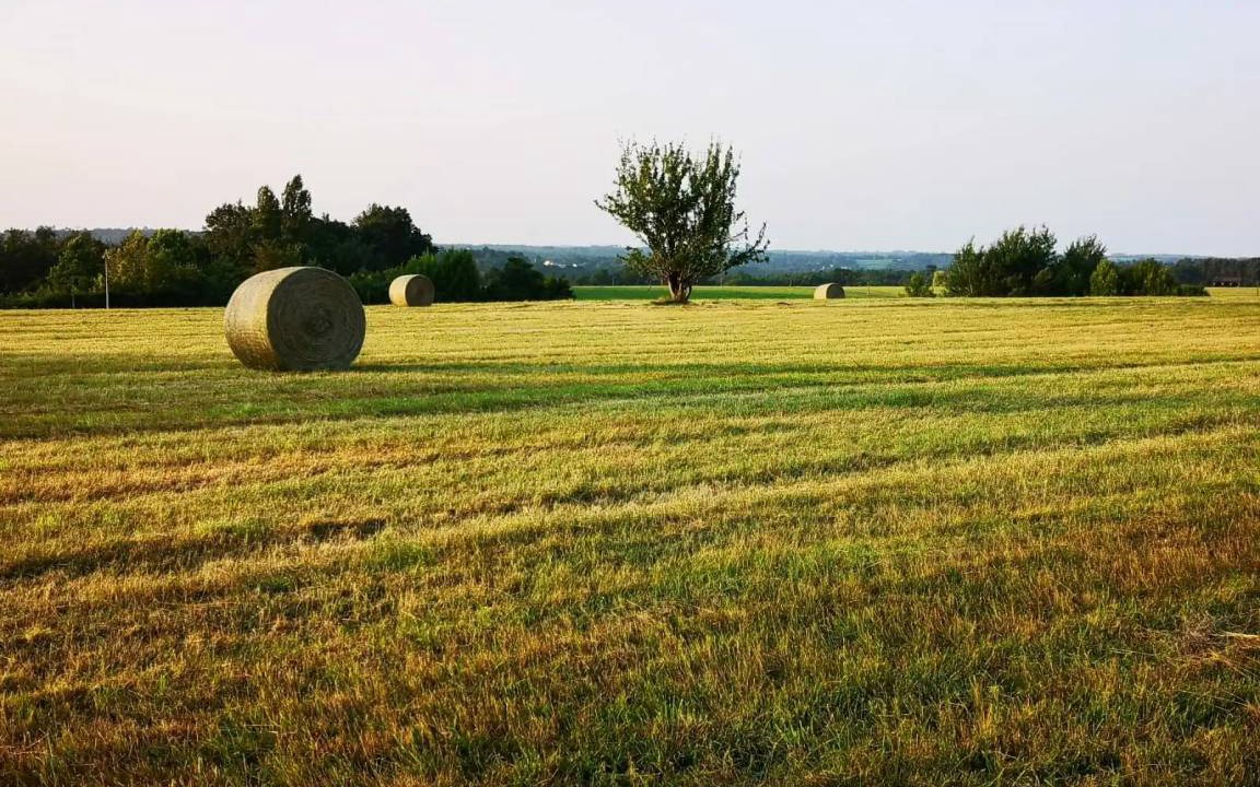 Photo of Others in Brossac