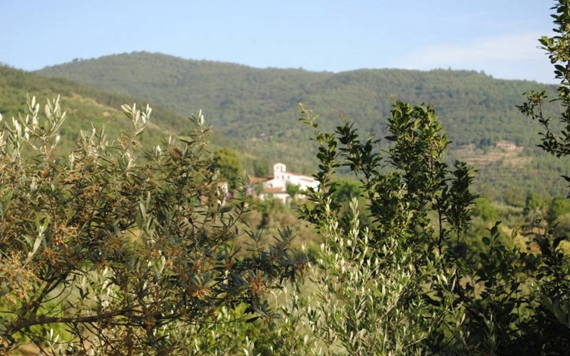 Photo of Others in Figline e Incisa Valdarno