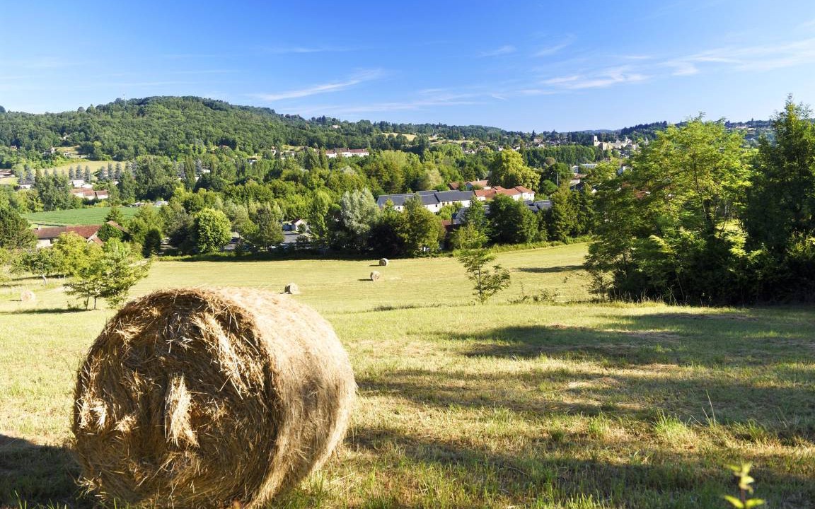 Photo of Others in Montignac