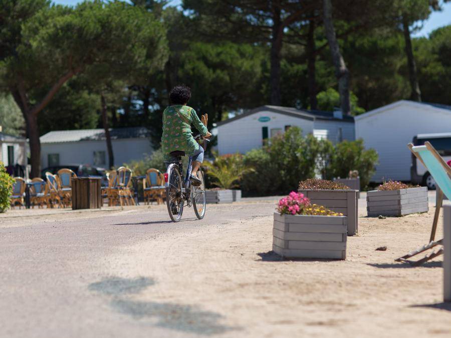 Photo of Others in Le Bois-Plage-en-Re