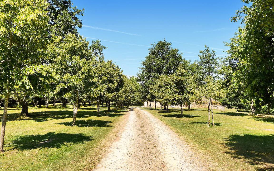 Photo of Others in Lamonzie-Montastruc