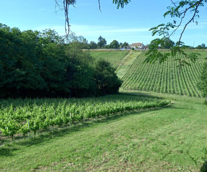 Photo of Others in Gauriac