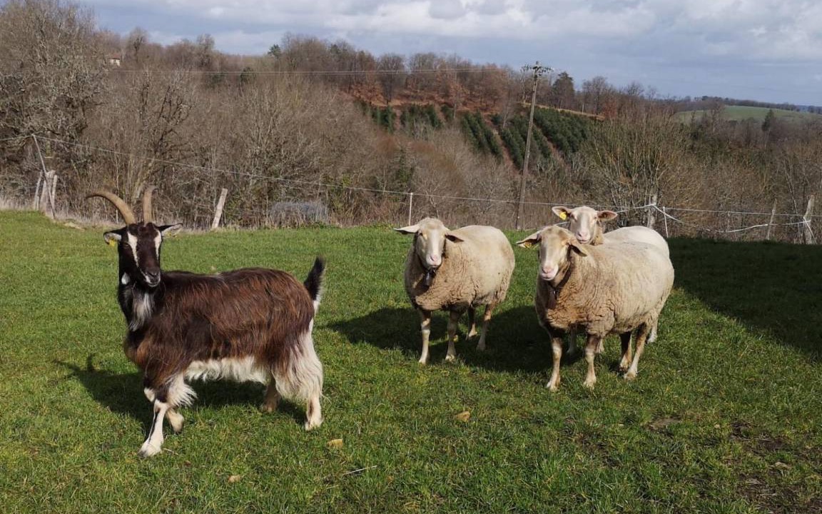 Photo of Others in Les Eyzies