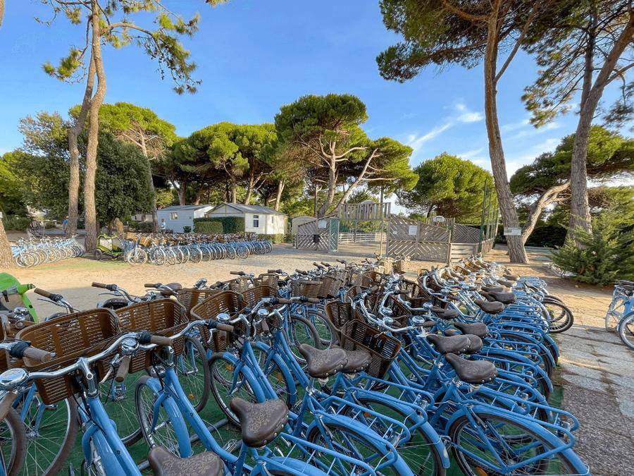Photo of Others in Le Bois-Plage-en-Re