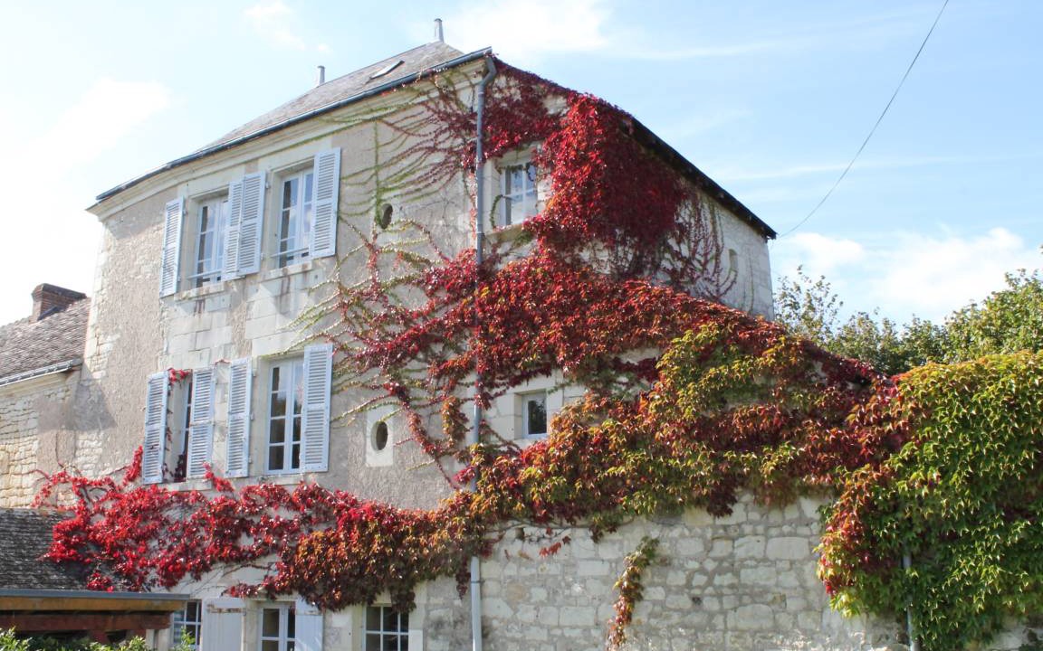 Photo of Others in La Roche-Posay