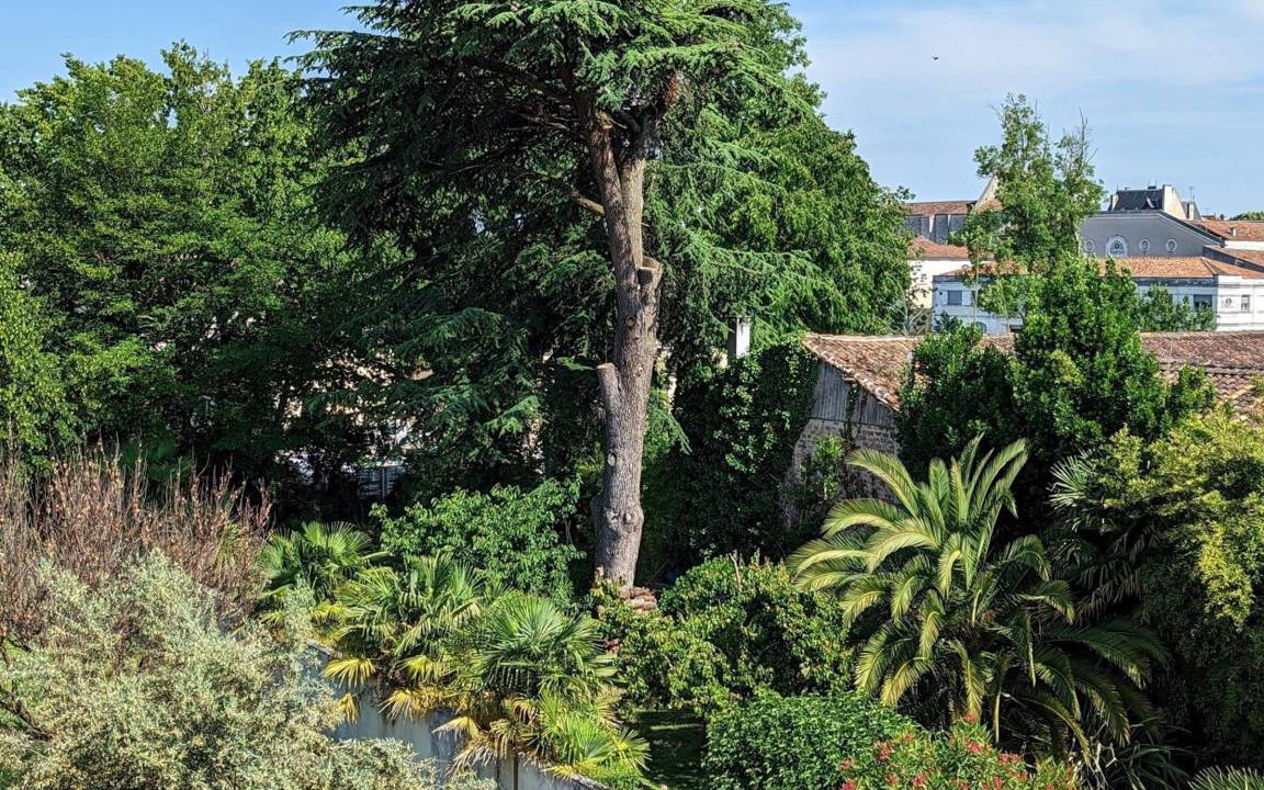 Photo of Outdoor in Gondeville