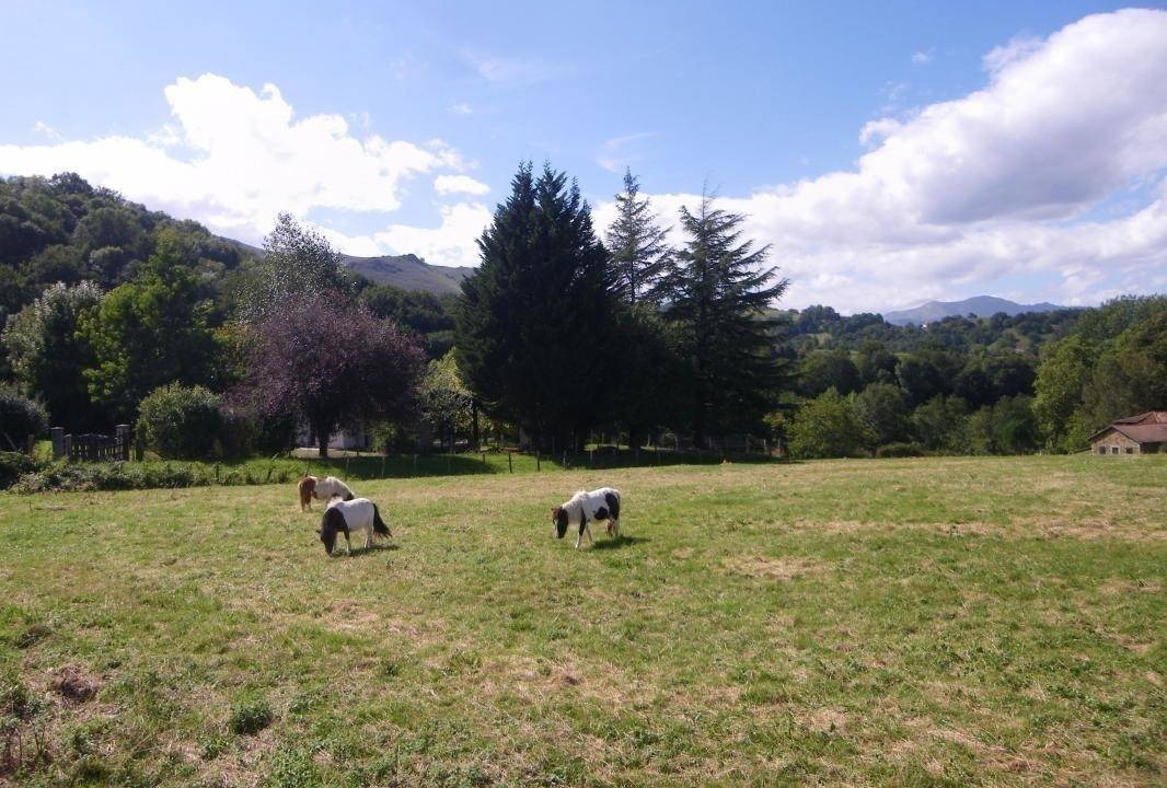 Photo of Others in Ahaxe-Alciette-Bascassan