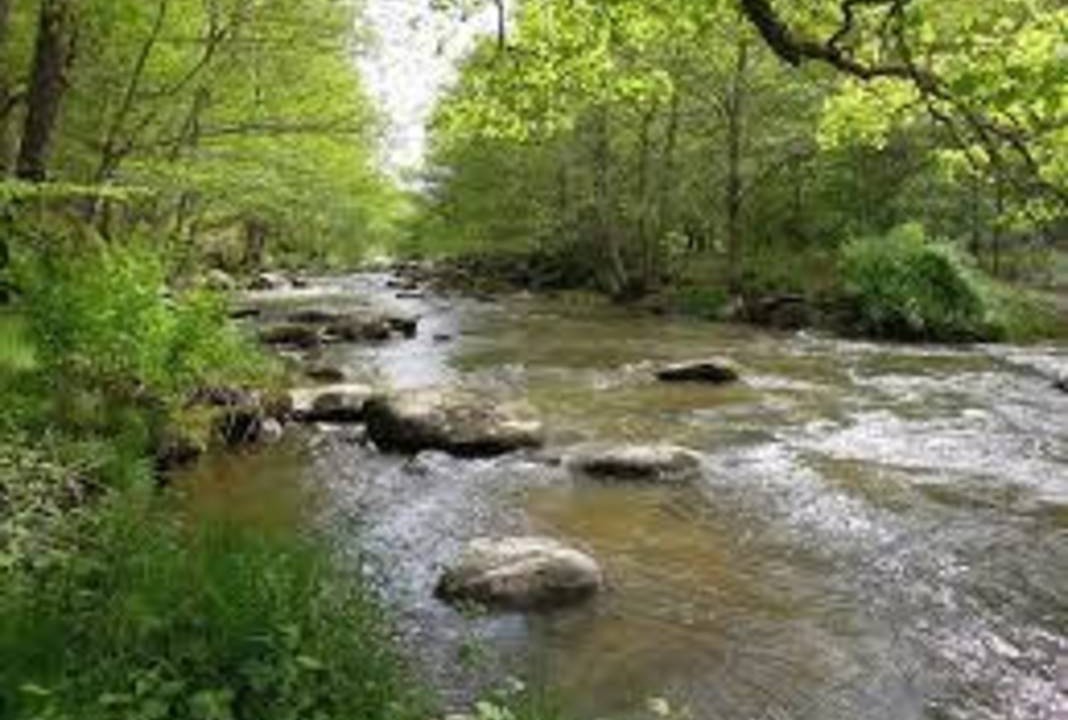 Photo of Others in Fresselines
