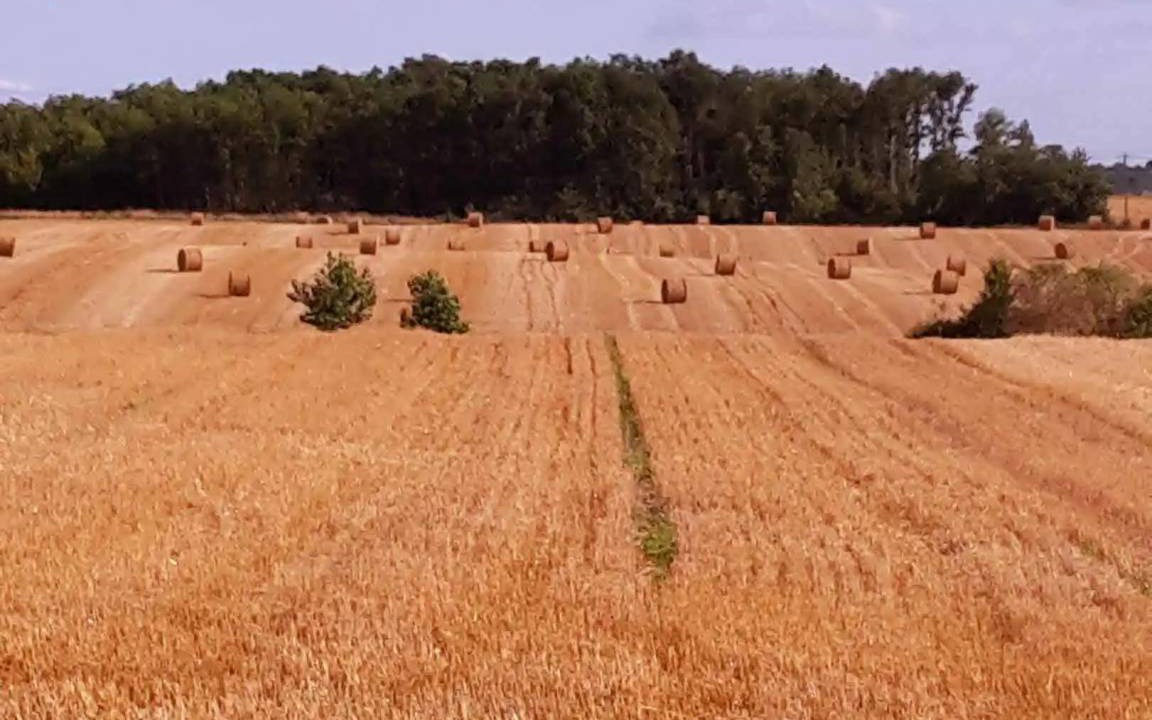 Photo of Others in Juignac