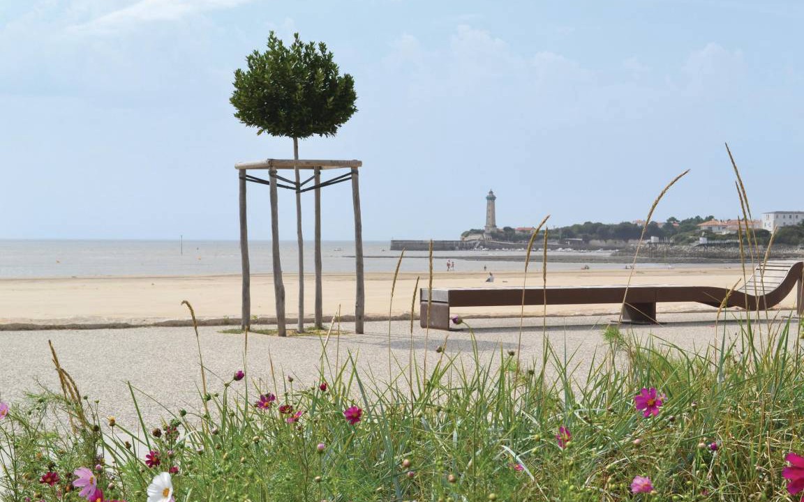Photo of Others in Saint-Fort-sur-Gironde