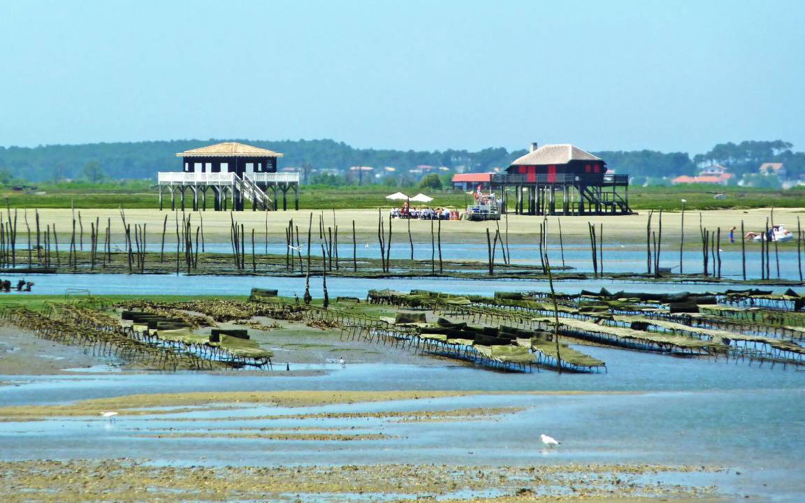 Photo of Others in Arcachon
