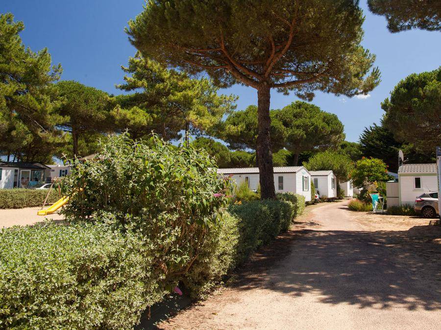 Photo of Others in Le Bois-Plage-en-Re
