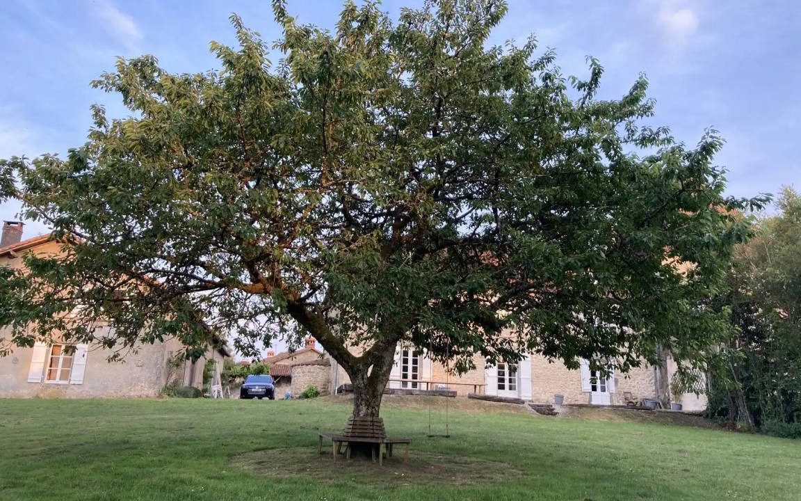 Photo of Others in La Chapelle Montbrandeix