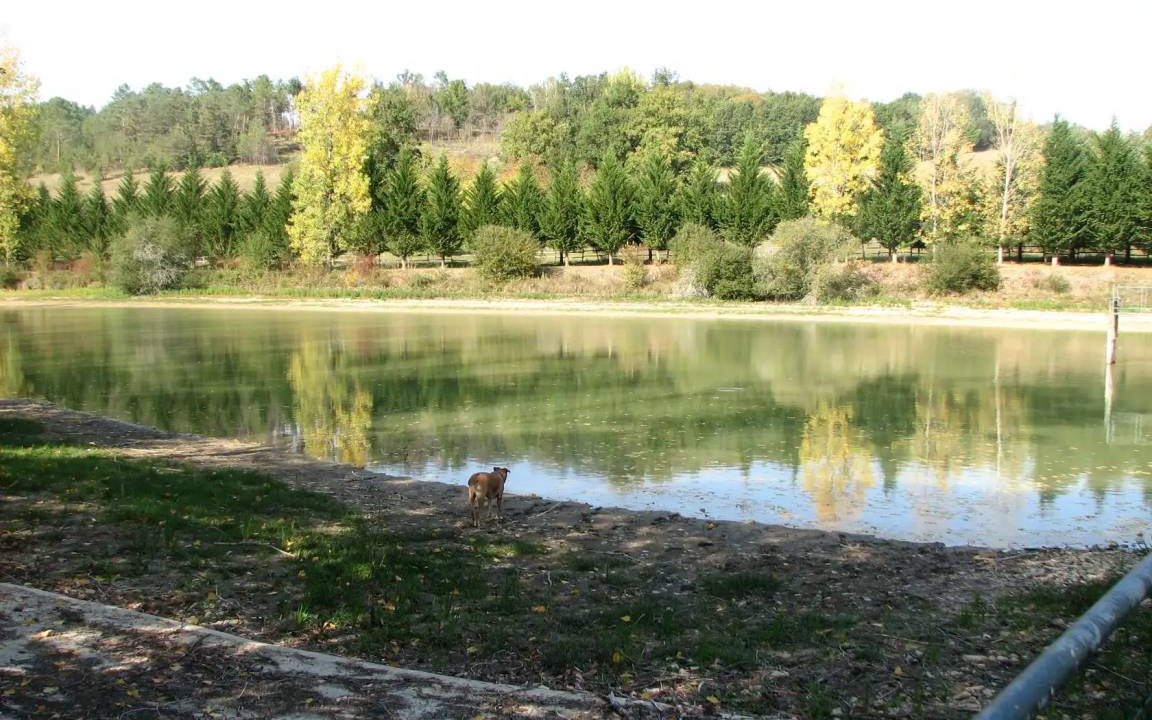 Photo of Others in Saint-Front-la-Riviere