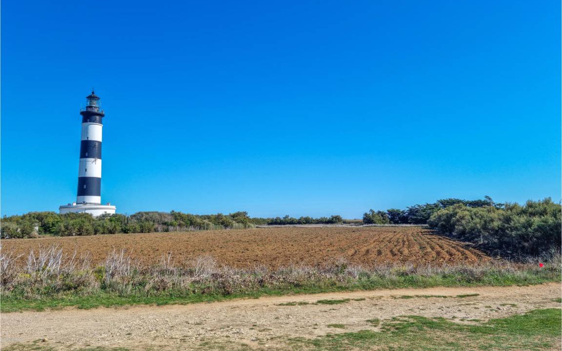 Photo of Others in Meschers-sur-Gironde
