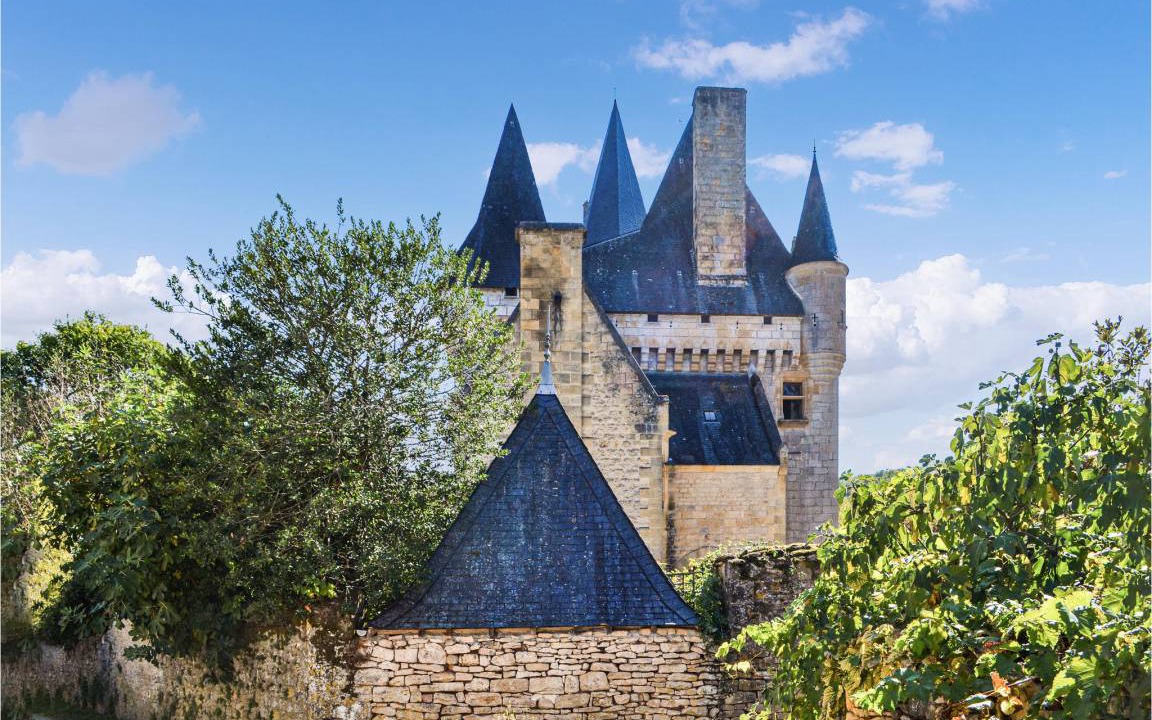Photo of Others in Saint-Leon-sur-Vezere