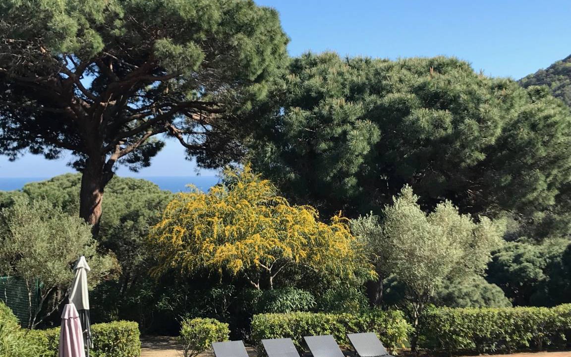 Photo of Others in Ramatuelle