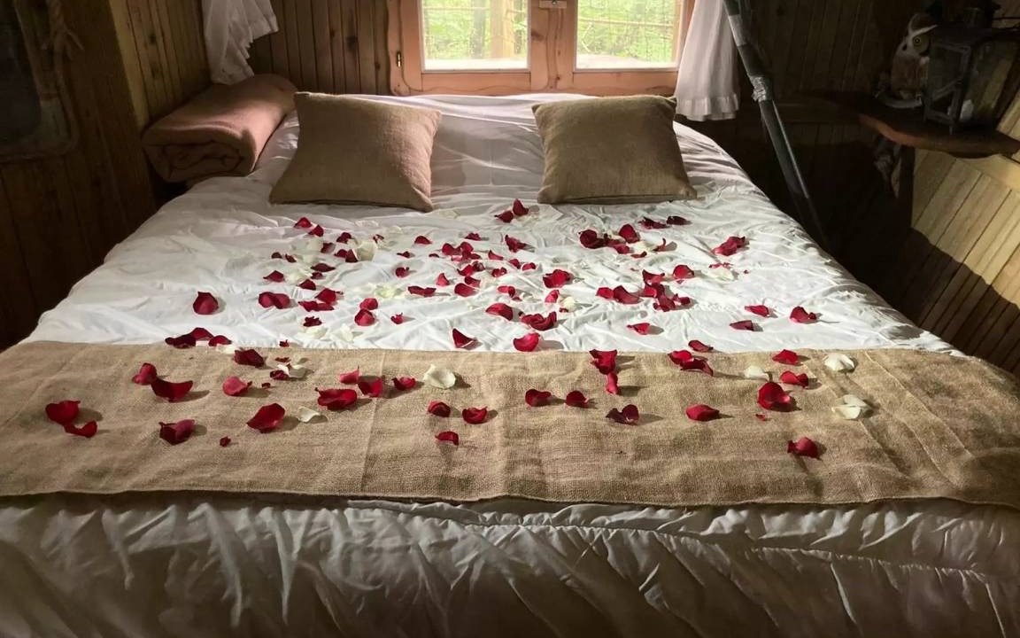 Photo of Bedroom in Salles-en-Toulon