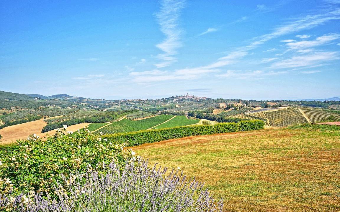 Photo of Others in San Gimignano
