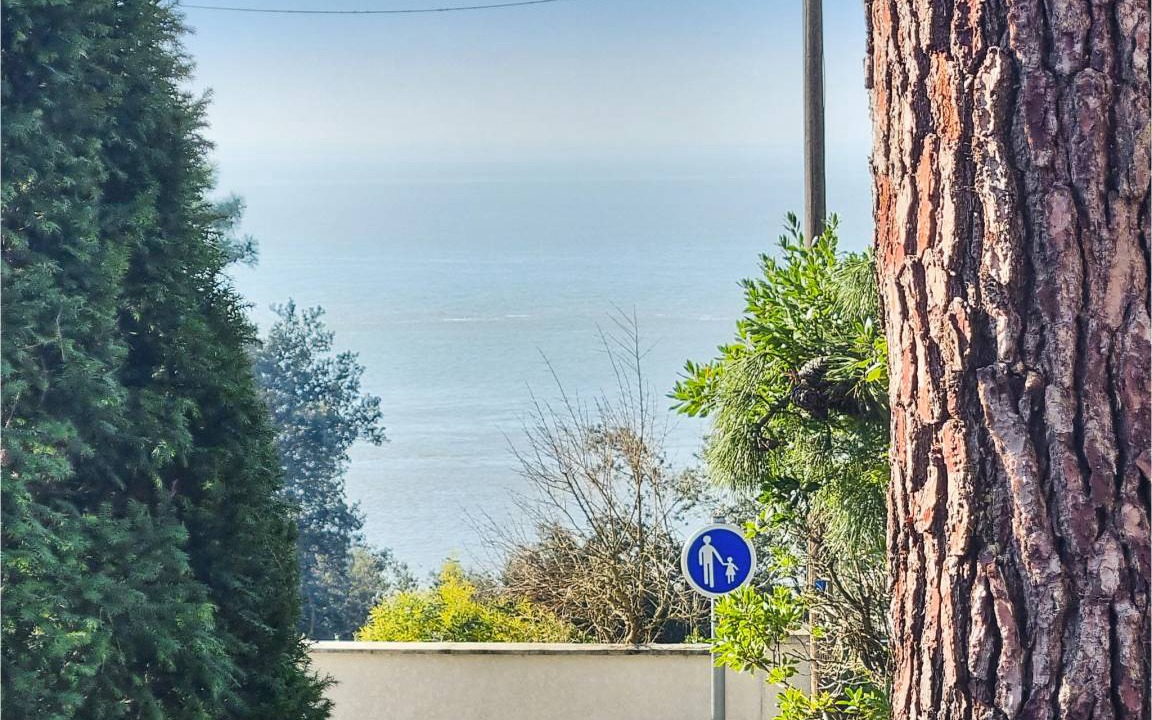 Photo of Others in Meschers-sur-Gironde