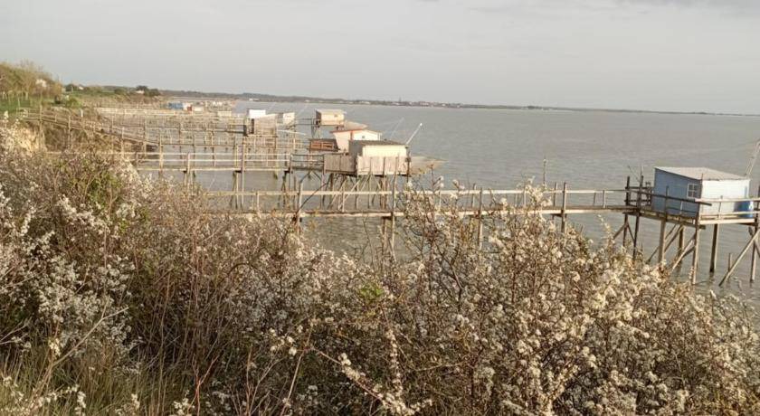 Photo of Others in Port-des-Barques