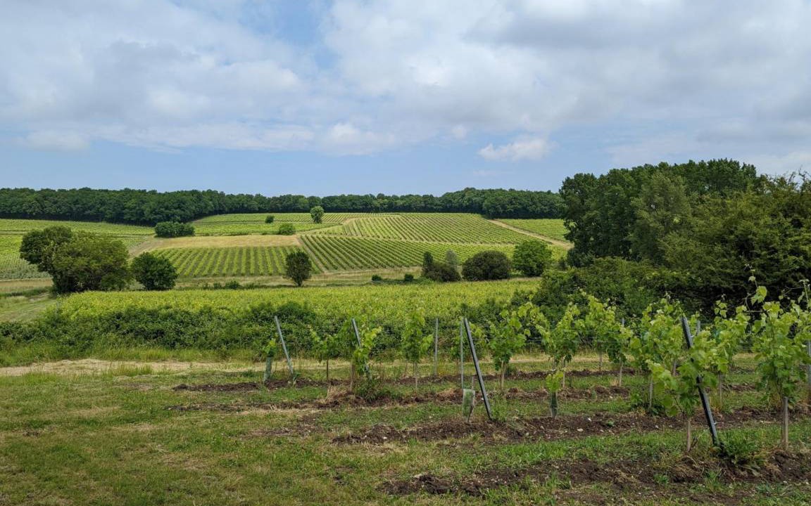 Photo of Others in Val-des-Vignes