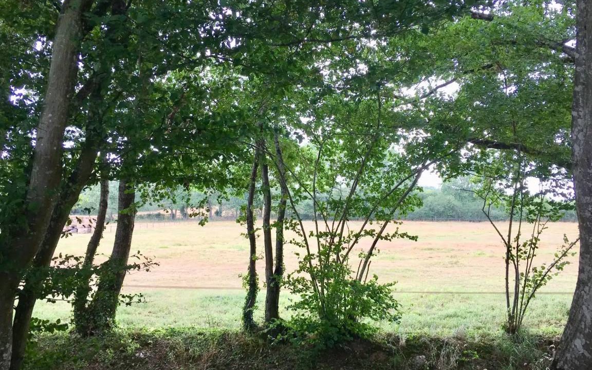 Photo of Others in Malleret-Boussac