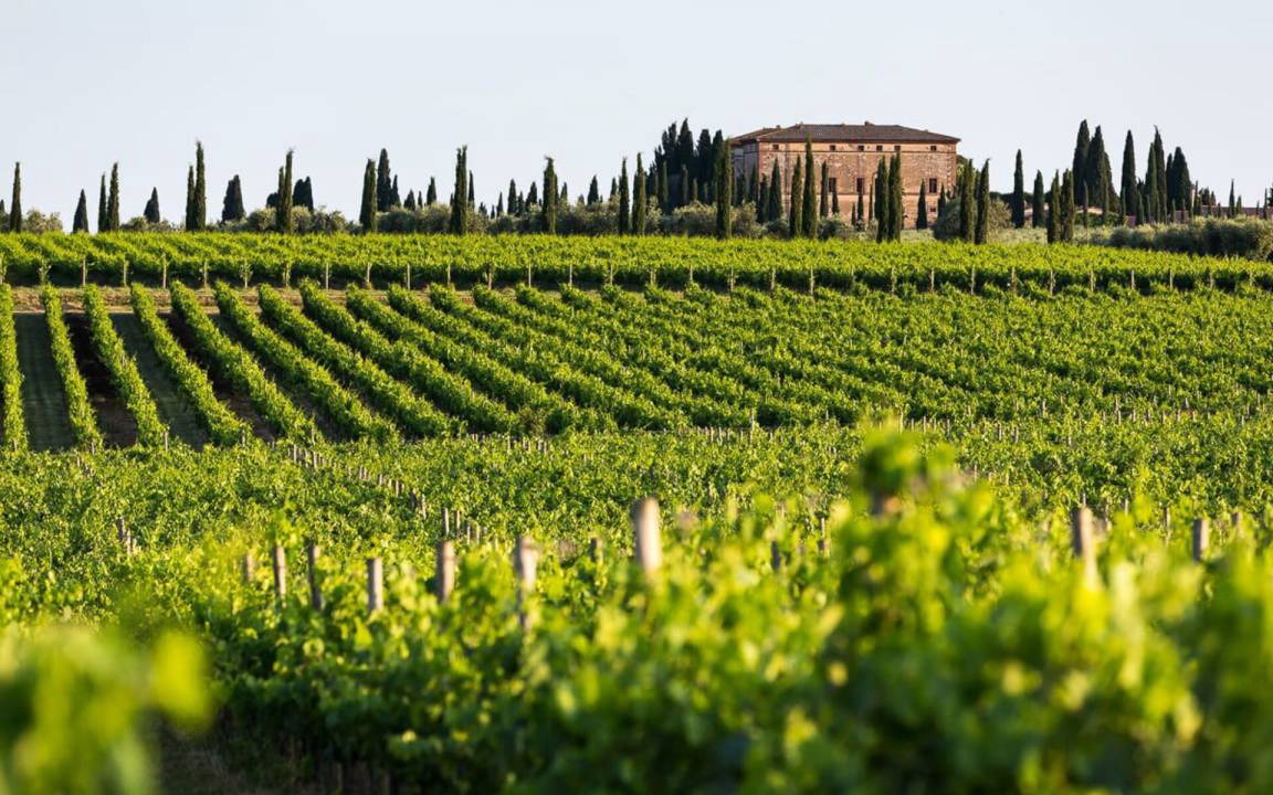 Photo of Others in Montalcino