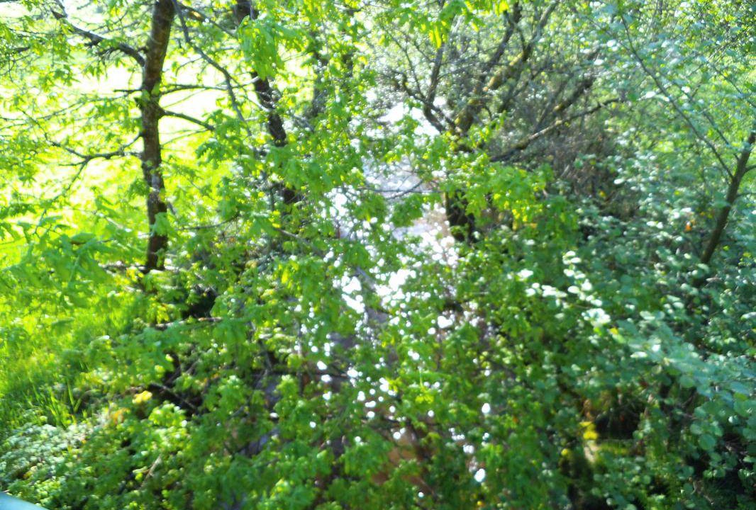 Photo of Others in Sarroux-Saint-Julien