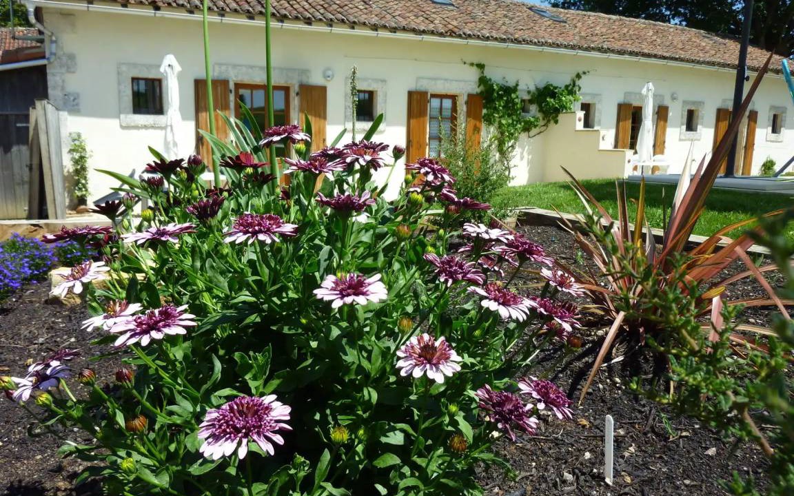 Photo of Others in Asnois