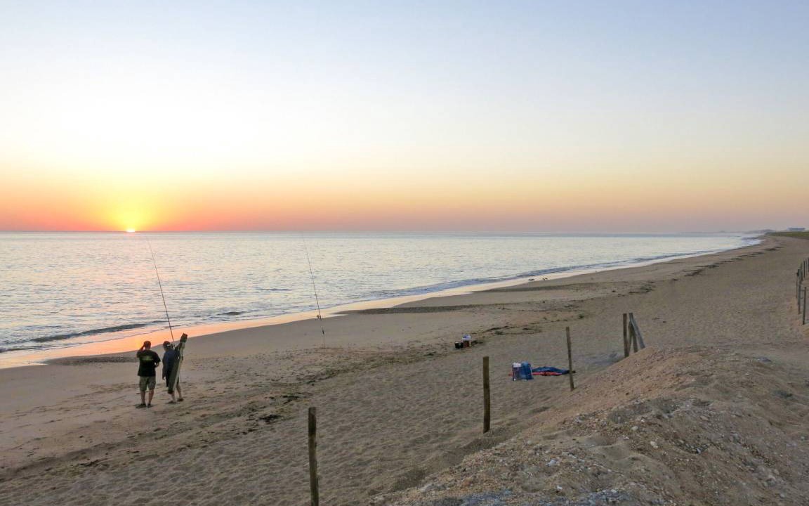 Photo of Others in Saint-Georges-d'Oleron