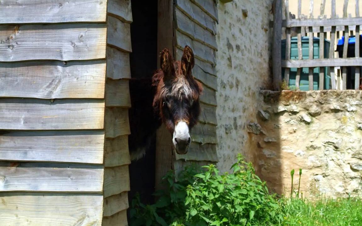 Photo of Others in Coulonges-sur-l'Autize