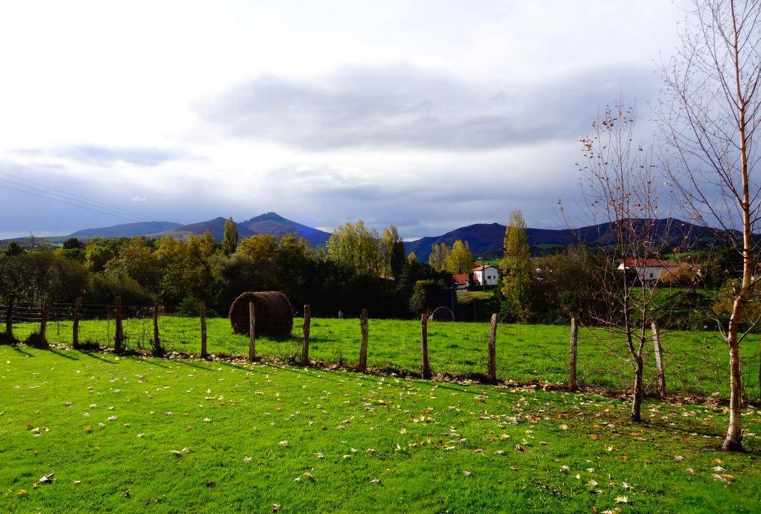 Photo of Others in Espelette
