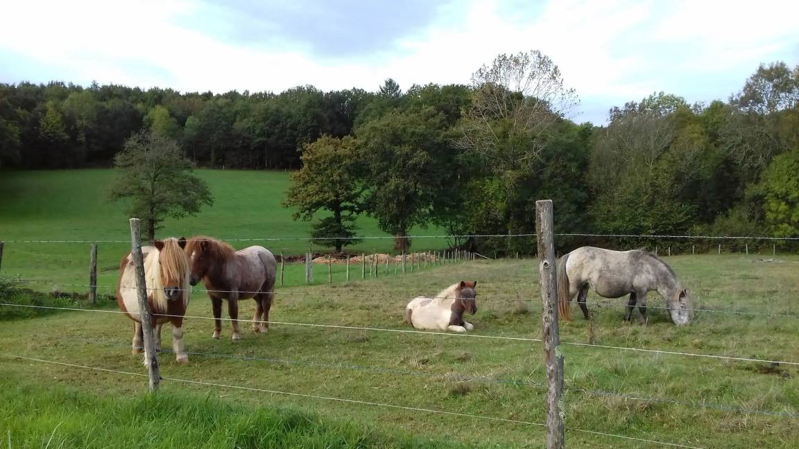 Photo of Others in Eymouthiers