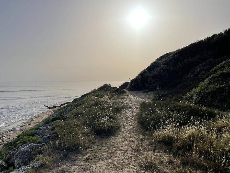 Photo of Others in Saint-Pierre-d'Oleron