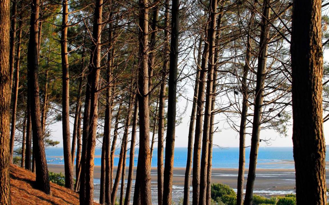 Photo of Others in Pyla-sur-Mer