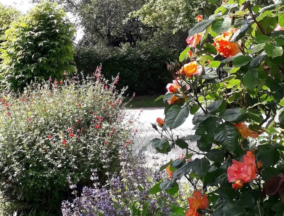 Photo of Outdoor in Hautefort