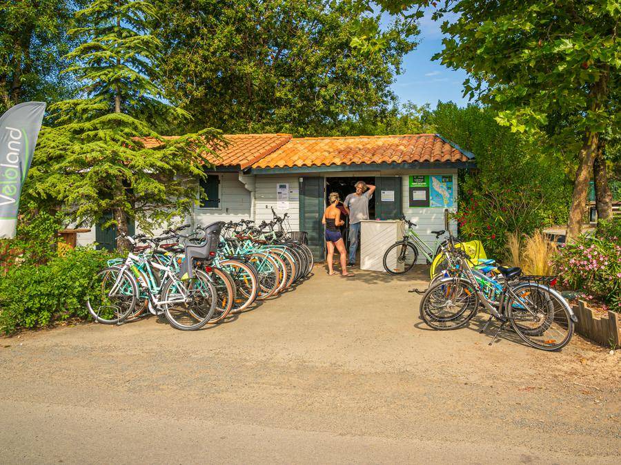 Photo of Others in Saint-Georges-d'Oleron