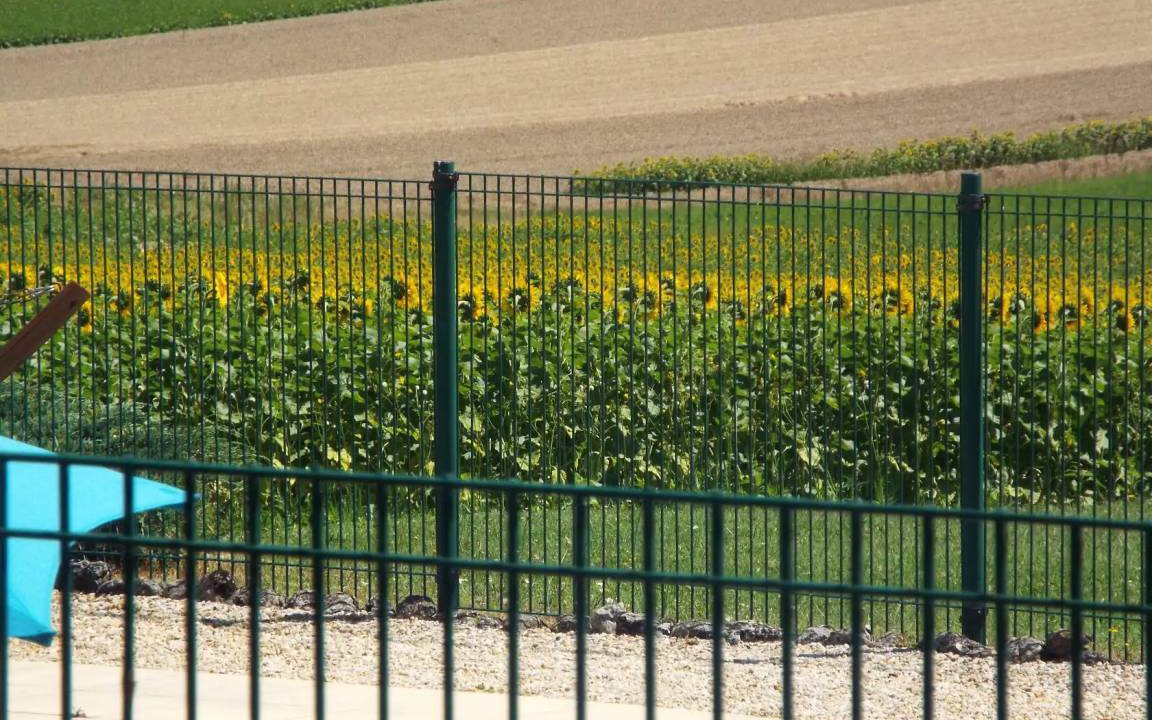 Photo of Others in Plassac-Rouffiac